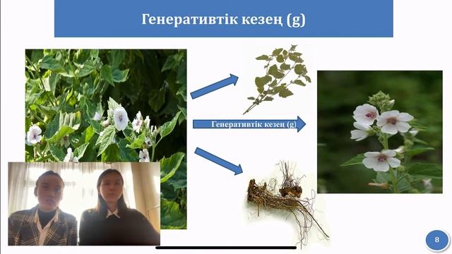 Научный проект. Оспанова Аяжан. Қуаныш Аружан