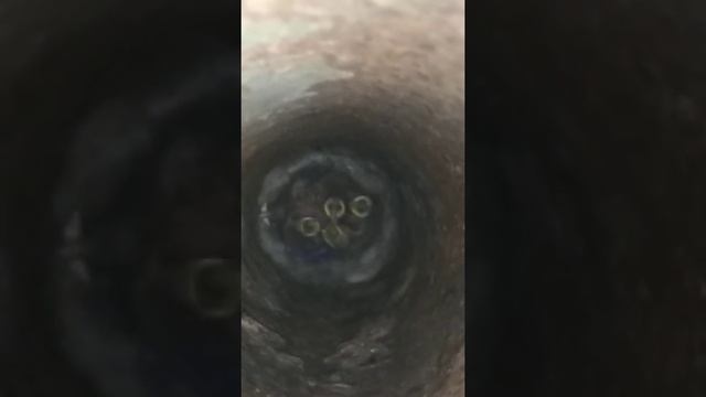 маленькие синички смотреть онлайн