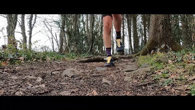 NIKE WILDHORSE 8 Initial Review | Has Nike FINALLY Made A Good Trail Shoe? | Run4Adventure