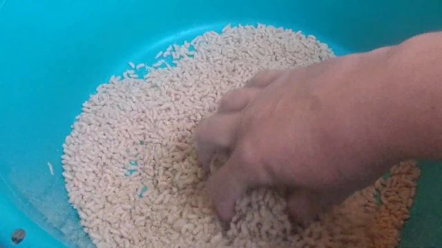 ОПАРЫШ для рыбалки | Сколько опарыша в 1 литре