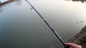 Ловля ЖЕРЕХА осенью на Kastmaster и муху