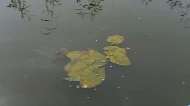 рыбалка осень 2022