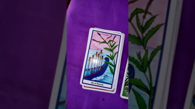 Smokable herbs смотреть онлайн