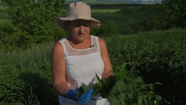 Крапива Биолит смотреть онлайн