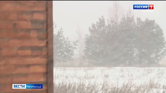 Спортсменка из Кургана завоевала 2 бронзы на международных соревнованиях по стендовой стрельбе смотреть онлайн