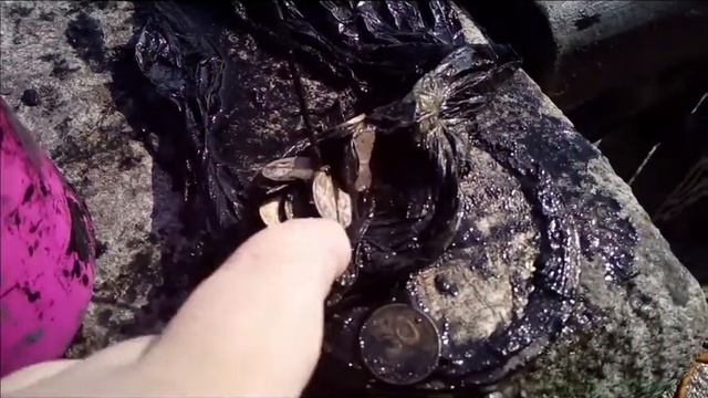 находки на поисковый магнит №12 20 07 21 смотреть онлайн