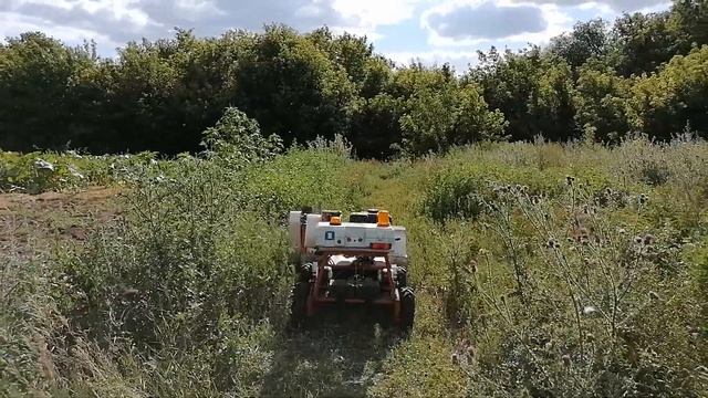 Робот-мульчер на радиоуправлении. Убираем сорную траву.Radio-controlled robot смотреть онлайн