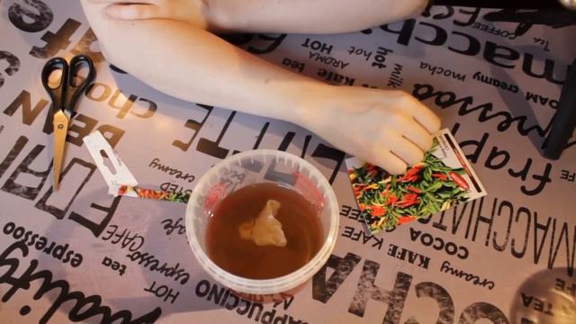 Посев перца на рассаду