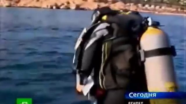 Египетские Акулы Шарм-эль-Шейха смотреть онлайн