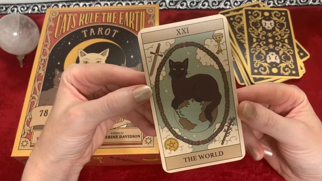 Новинка!! “Cats rule the Earth “ Tarot ?⬛??⬛Обзор колоды Таро «Кошки правят миром» смотреть онлайн