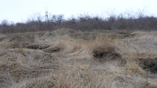 Рыбколхоз - Элеватор (2.03.15) смотреть онлайн