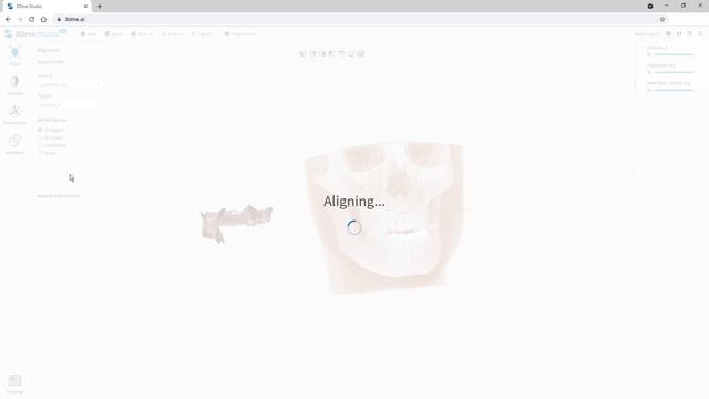 Automated CT & Mesh Registration | Imagoworks (2023 Mar) смотреть онлайн