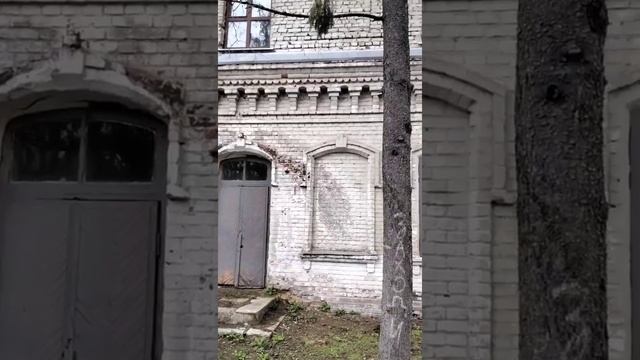 Воронежский биосферный заповедник. Весна 2022. смотреть онлайн