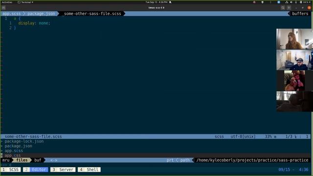 Intro to SCSS смотреть онлайн