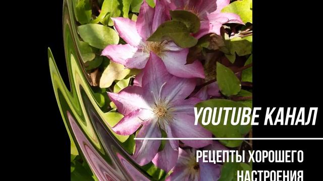 Клематис Мульти блу и др 2020г. (clematis Multi Blue, clematis integrifolia...) смотреть онлайн