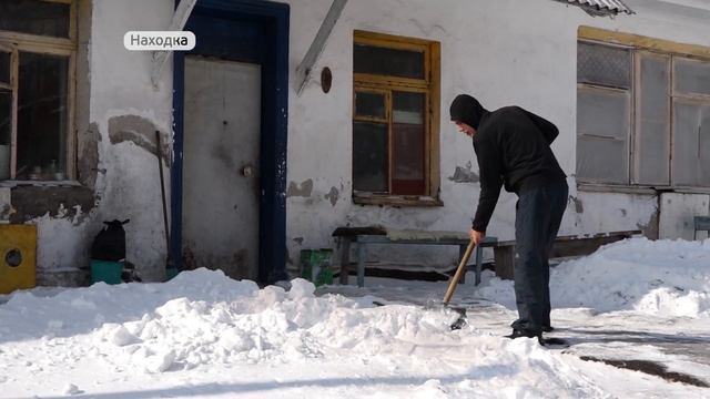 Как работает приют для бездомных в Находке смотреть онлайн
