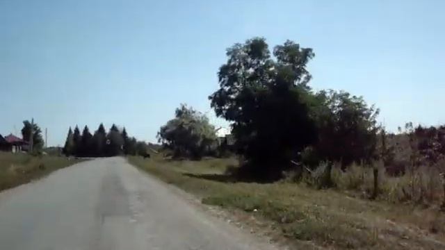 С собакой на мотоцикле смотреть онлайн