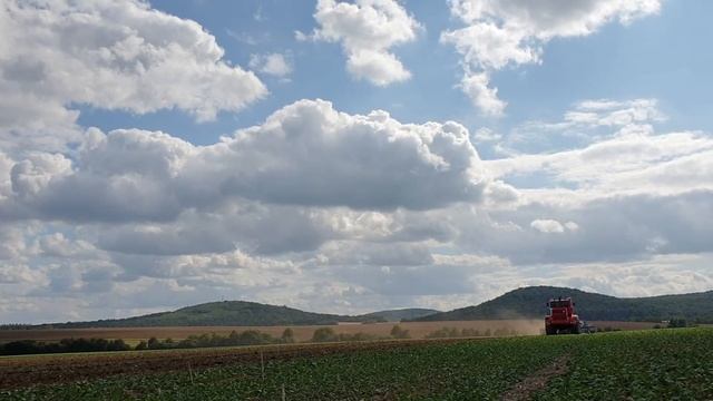 Kirovec K 700+Lemken Rubin 10 v5 смотреть онлайн