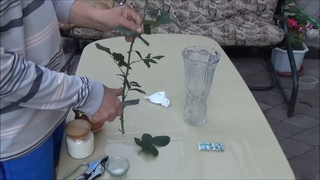 Как сохранить розы в вазе дольше. смотреть онлайн