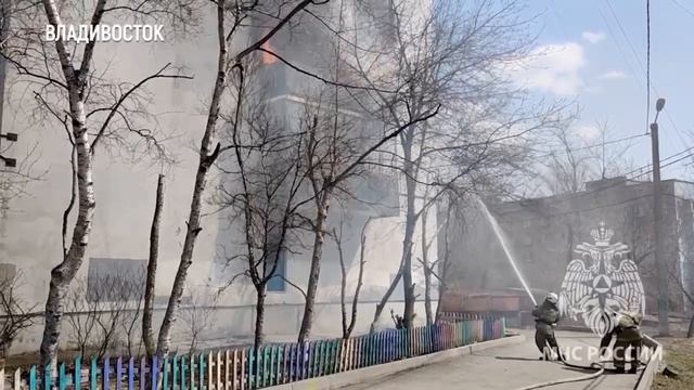 Прошедшая неделя в жизни чрезвычайного ведомства В нашей еженедельной программе #МЧСОбзор сегодня: смотреть онлайн