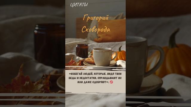 Цитаты 561 смотреть онлайн