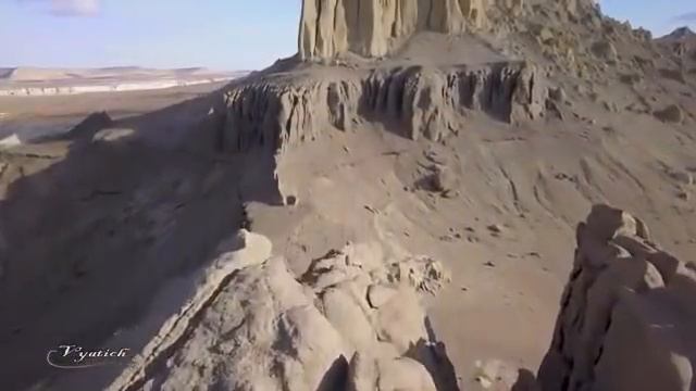 Жителю Актау удалось заснять краснокнижных уриалов смотреть онлайн