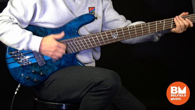Spector NS Dimension 5 Multiscale Bass Guitar 5-String Demo @ Belfield Music