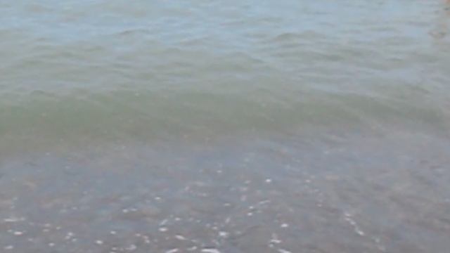 DSCN5991.AVI Турбаза Приморская Новомихайловский 2022