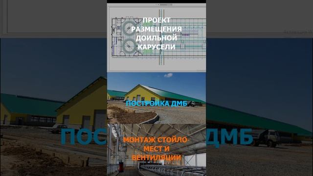 Реальность начинается с мечты! Доильный зал типа "карусель" смотреть онлайн