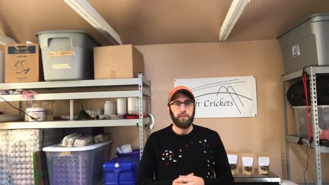 Cricket Egg Laying and Incubation - Intro to Cricket Farming Video 5 смотреть онлайн