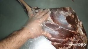 Косуля (нога) горячего копчения! ?