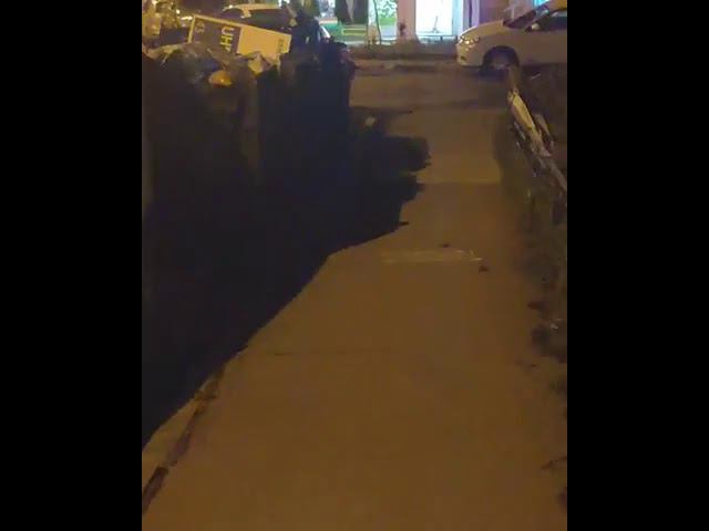 Крысы в Трехгорке разгуливают по тротуарам и бросаются под ноги детям и взрослым смотреть онлайн