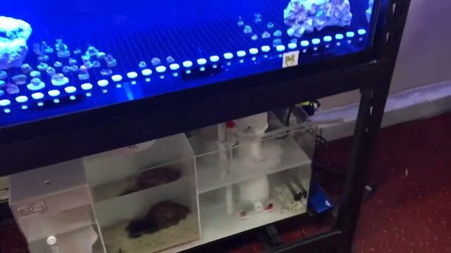 Upgrading the Frag tank смотреть онлайн