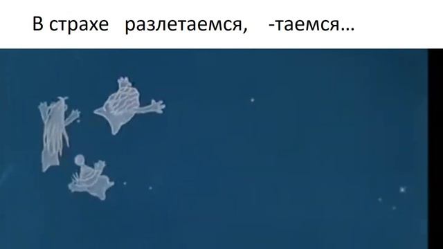 Пісня Мы не мыши мы не птахи