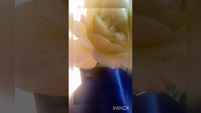 создание зелёной розы, голубой смотреть онлайн