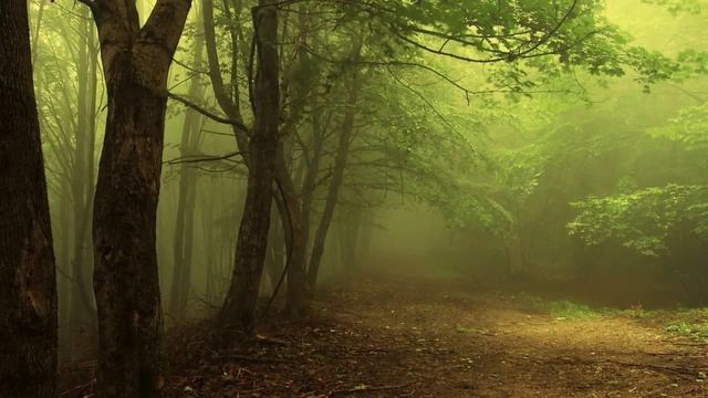 Диск звуки природы смотреть онлайн