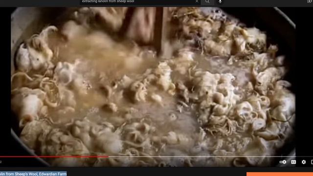 LIVE discussion of Follow the Flock, How Sheep Shaped Human Civilazation смотреть онлайн