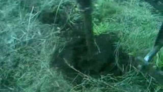 Видео0027 смотреть онлайн