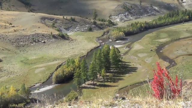 ТЫВИНСКАЯ ТАЙГА. БАЙТАЙГА. БАЙТАЛ.ТЫВА смотреть онлайн