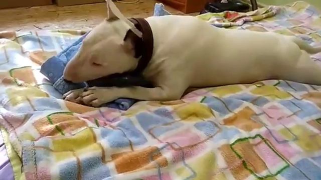 28 августа 2018 г. смотреть онлайн