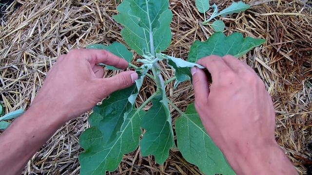 Ремонтный Мастер