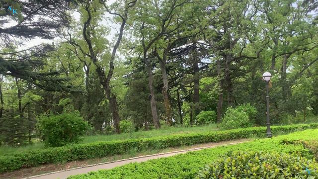 Санаторий Днепр. Всё цветёт и пахнет. ЮБК. 18.04.2024 г. смотреть онлайн
