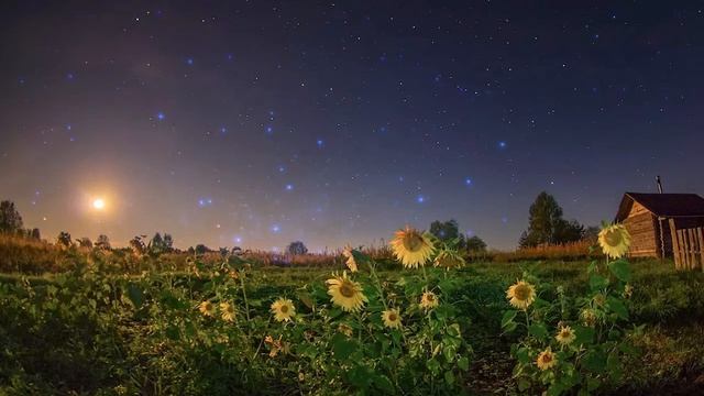 Футаж для видео монтажа, звездное небо в деревне смотреть онлайн