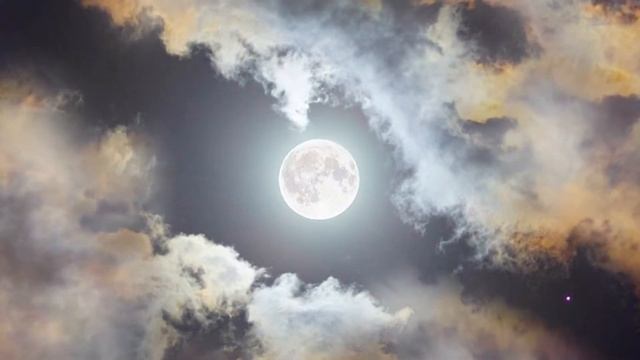 Лучшие качества - ВОДОЛЕЙ. Знаки зодиака смотреть онлайн