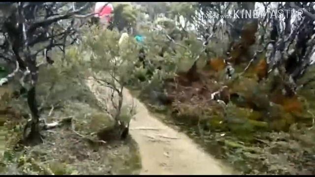 story from the Indonesian island of Sulawesi смотреть онлайн