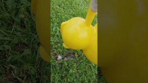 Как поймать медведку простым способом