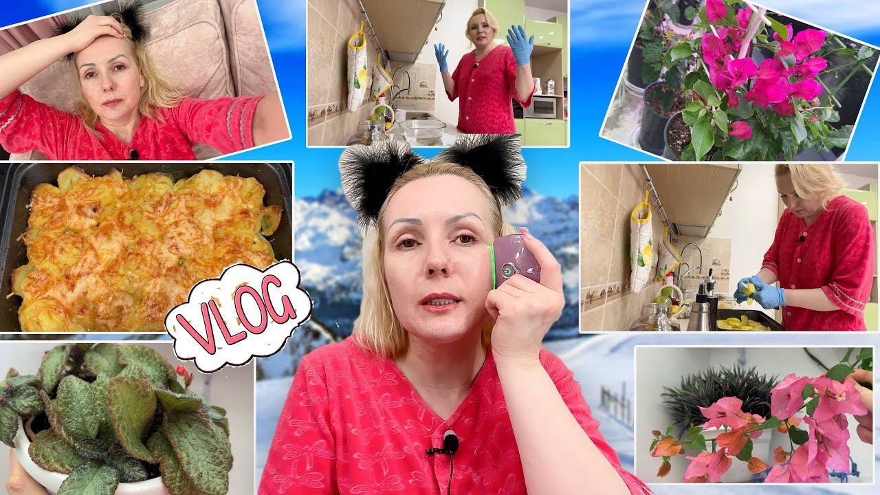 VLOG: ДОМАШНИЙ ВЛОГ// ЗАПЕКАЮ КАРТОШКУ, ЧАЕПИТИЕ НА ЛОДЖИИ, ПРОЦЕДУРЫ КРАСОТЫ ПЕРЕД СНОМ и пр. смотреть онлайн