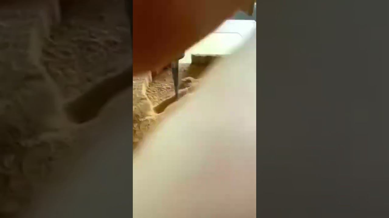 Рождение из дерева смотреть онлайн