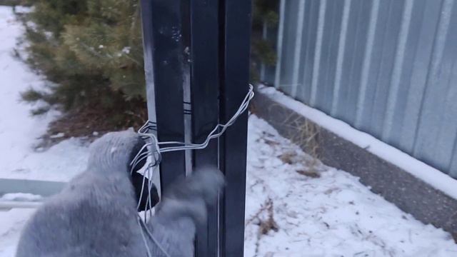 Собираю теплицу для рассады смотреть онлайн