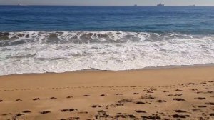 Винья-Дель-Мар